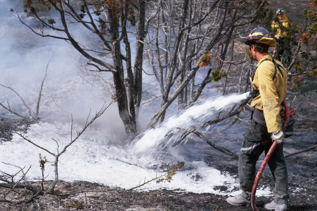 A firefighter sprays a wildfire with foam.