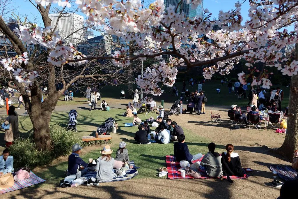 How Do People Picnic Around the Globe?