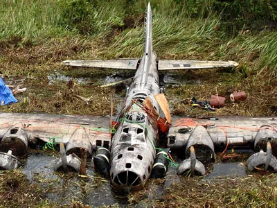 swamp631.jpg