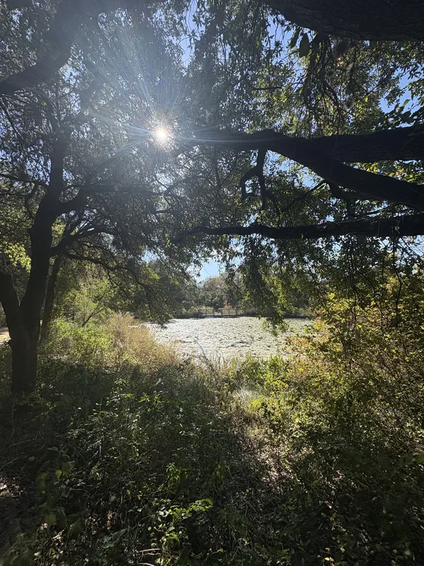The view on a trail in the Nature Center of Austin Texas thumbnail