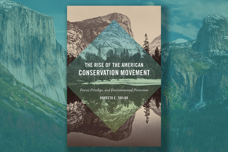 rise of the american cons movement.png