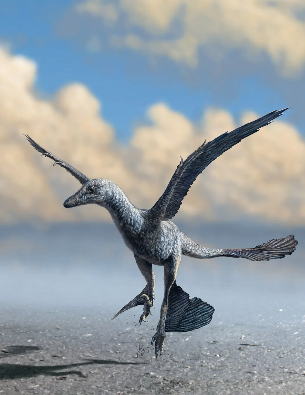 Small Flapping Dinosaur