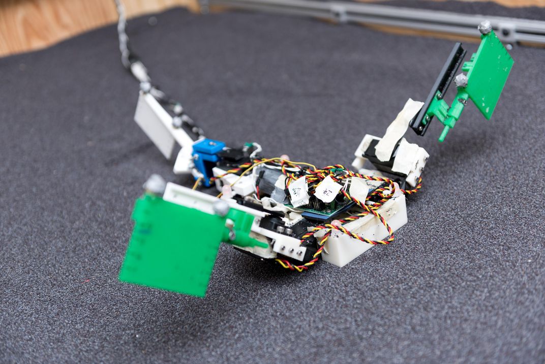 Awkward Robots Show How Tails Propelled First Land Walkers to New Heights