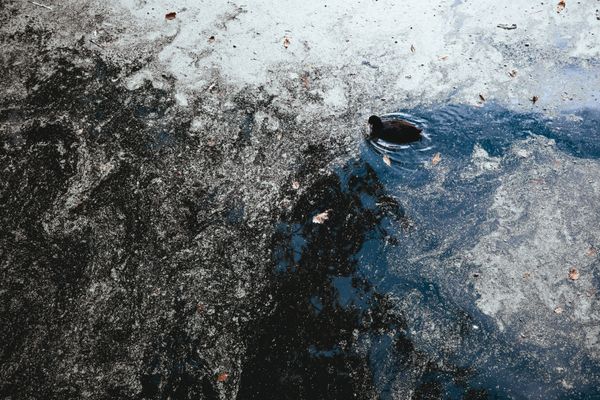 Solitary Shadow thumbnail