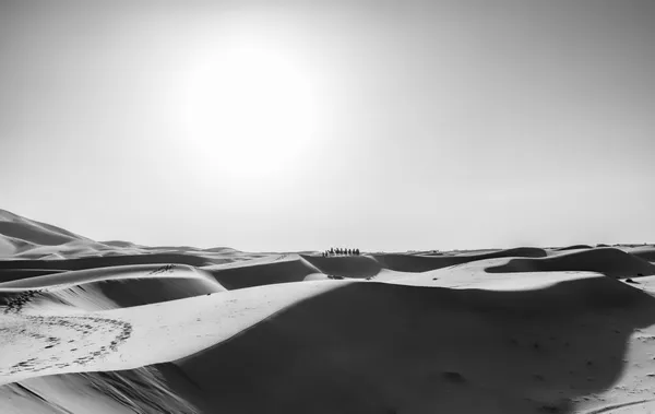 Sahara Magic thumbnail