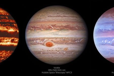 In the images, the Great Red Spot, Jupiter's superstorm, is seen in both visible and ultraviolet light, but it disappears into the background as a black splotch in the infrared image.