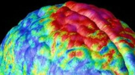 Does greed live here?