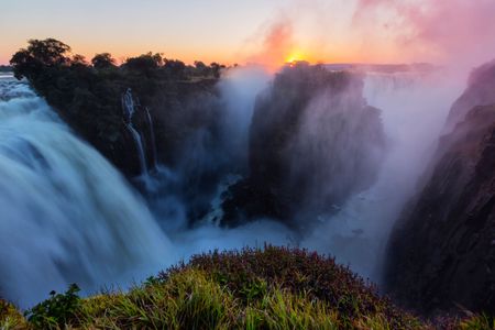 Many scientists believe we are standing on the edge of an unprecedented era of extinction.