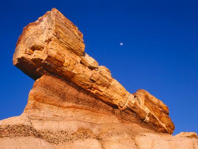 A gibbous moon shines over a large petrified log embedded in the sandstone at Blue Mesa in Arizona's Petrified Forest National Park.