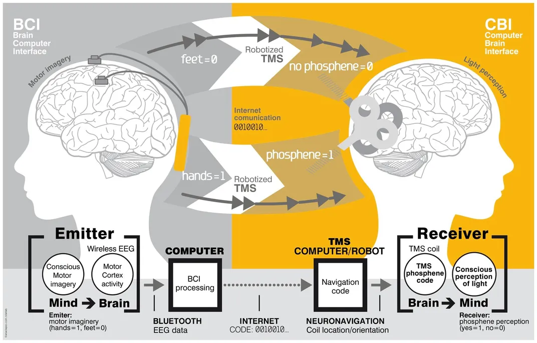 How Brain-to-Brain Communication Works