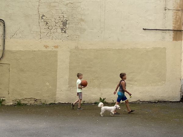 The ball, the dog and the two kids thumbnail