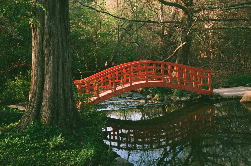 Red bridge in the Japanese Gardens of Cranbrook Gardens reflected in the water.