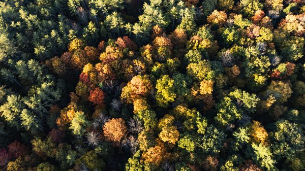 Over the White Mountains thumbnail