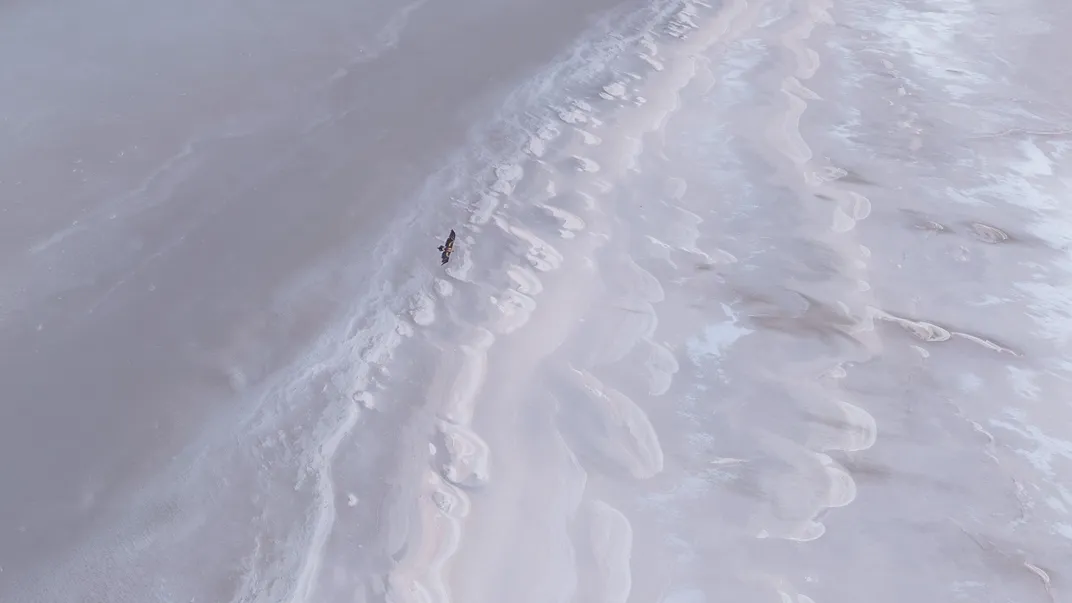 against a white backdrop that looks like crashing ocean waves, an eagle soars
