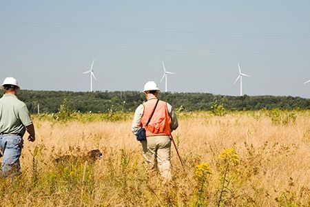 Dr. Edward Arnett (in the orange vest), a scientist with Bat Conservation International and his bat-finding labrador retriever accompany plant manager Chris Long at the Casselman Wind Power Project in Pennsylvania.