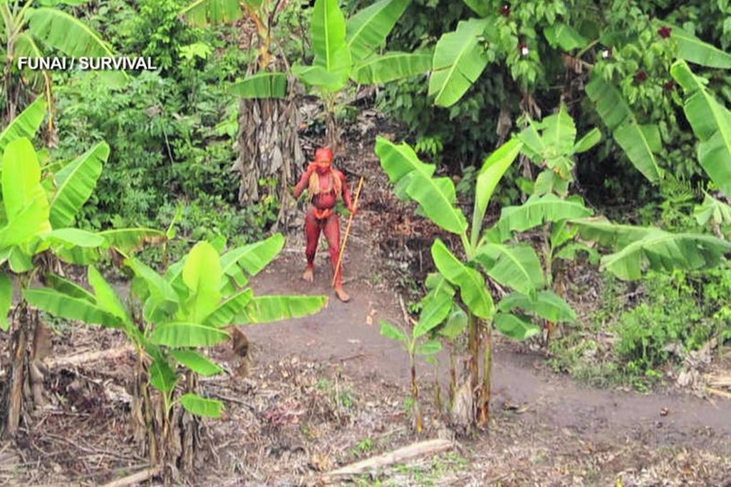 Uncontacted Tribe