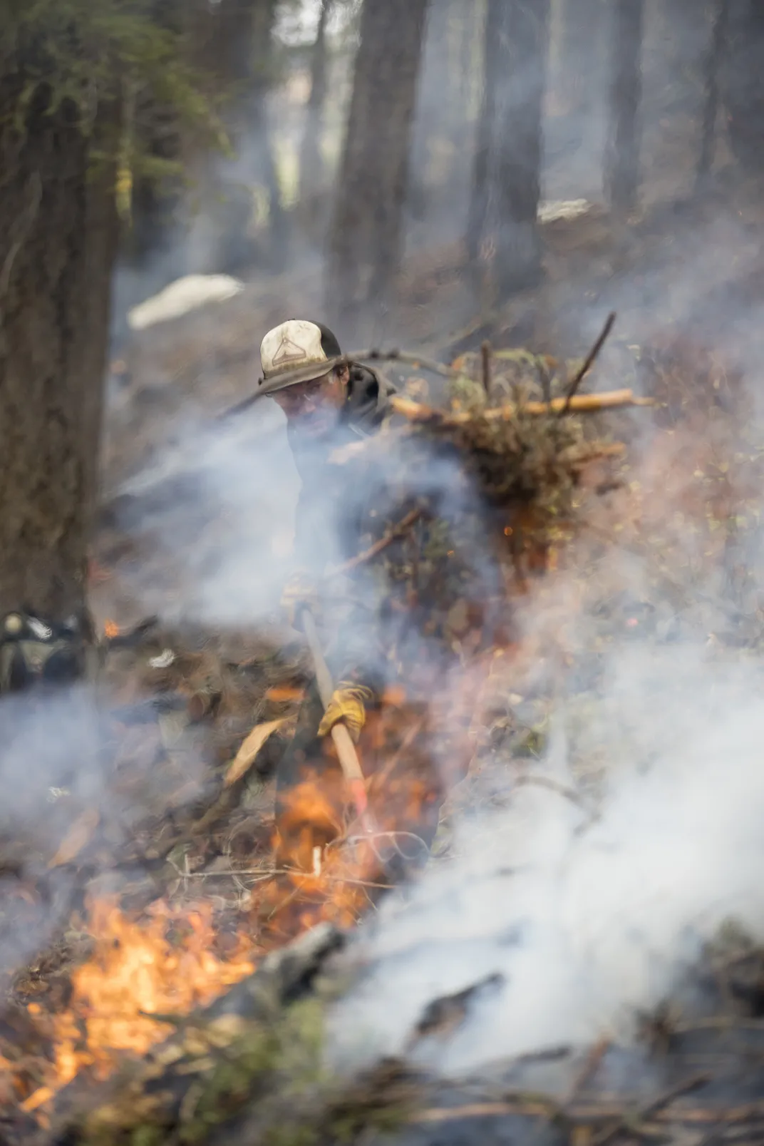 Saylor Flett forks branches onto a burn pile on his property near Quincy, California. By reducing surface fuels, trimming small trees and removing dead or fallen trees, Flett creates a defensible space around his home so that flames will have less fuel in