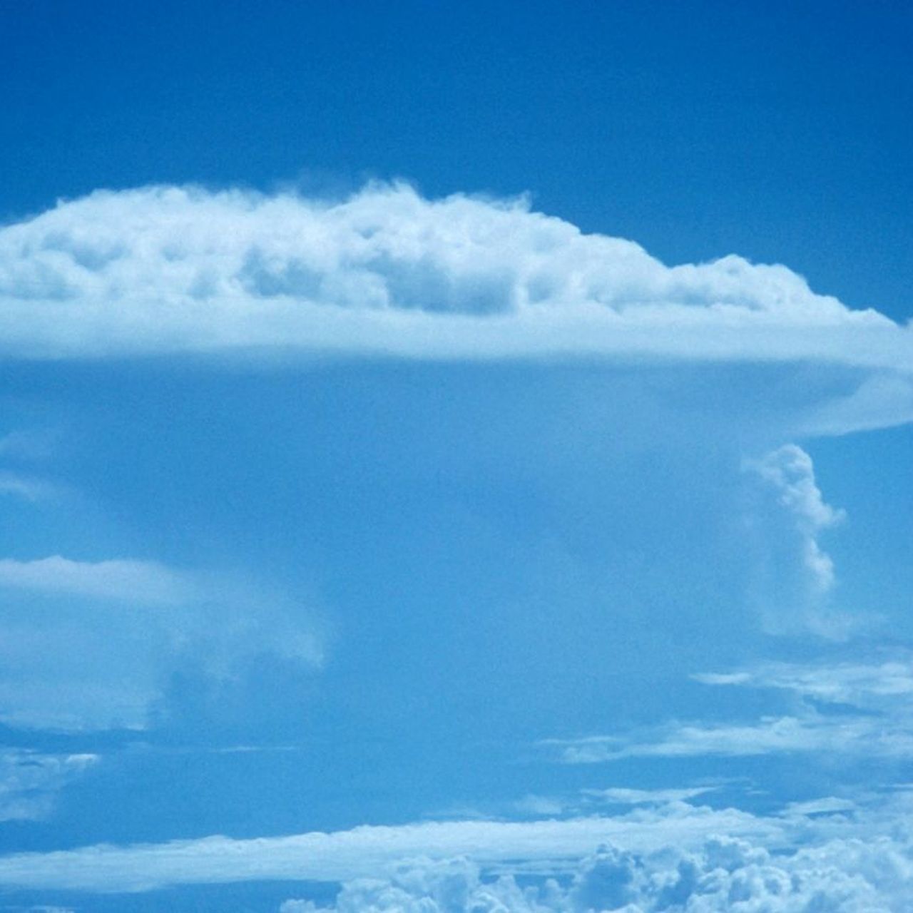 Types Of Nimbus