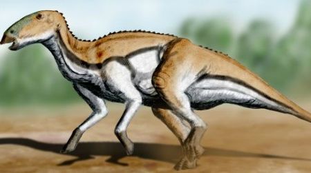 A restoration of the island hadrosauroid Tethyshadros by Nobu Tamura