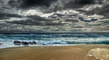 By 2100, the world’s oceans may be radically different habitats than they are today.