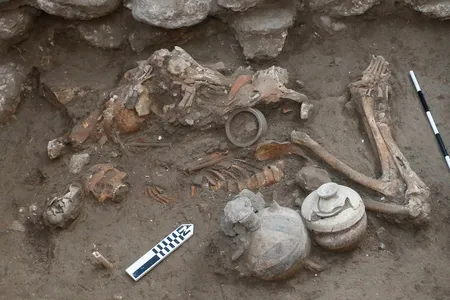 Two brothers&rsquo; remains were found buried together under the floorboards of their home. One had a hole in his skull consistent with surgery.