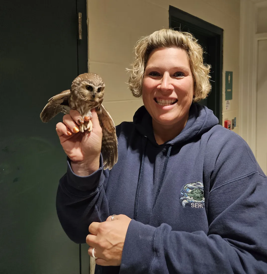 Project Owlnet 2023