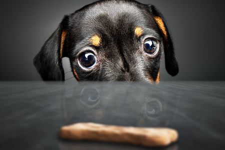 Would these eyes deceive you? New study says yes.
