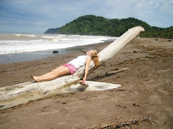 Woman laying on a huge drift wood tree. thumbnail