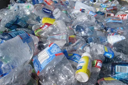 Scientists have accidentally created a "mutant enzyme" that can break down plastic.