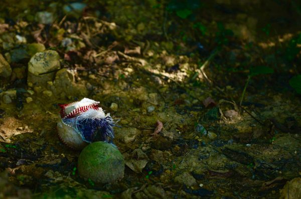 Rotting baseball at a home cross-country meet. thumbnail