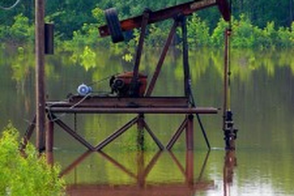 20110520102418594751479_01d871e38a-225x300.jpg