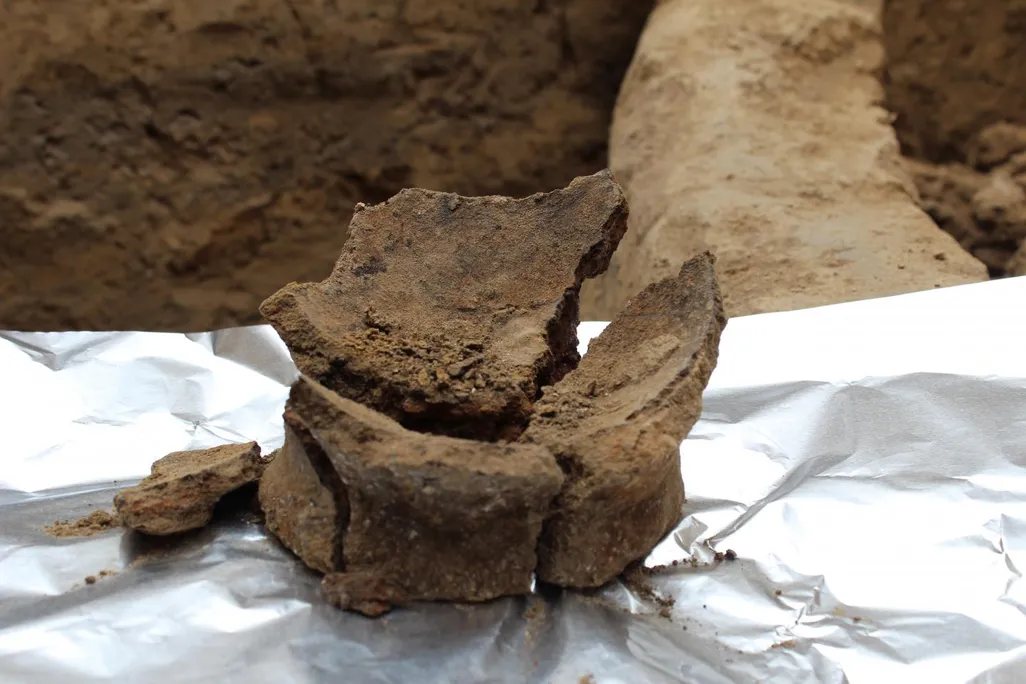 wine jar fragment`