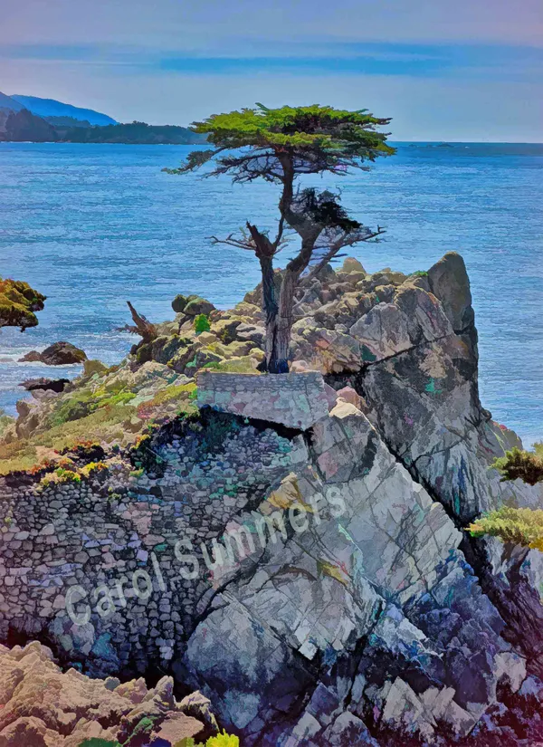 The Lone Cypress - Carmel, California thumbnail