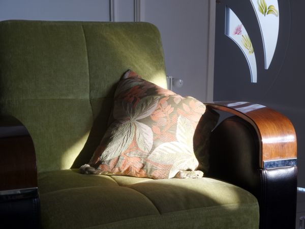 The Cushion Reclined and Bathed in the Sun thumbnail
