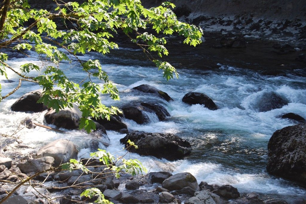 Downstream on the Snoqualmie River | Smithsonian Photo Contest ...