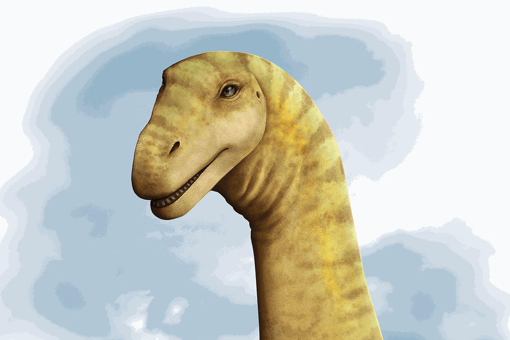 head of a long-necked dinosaur