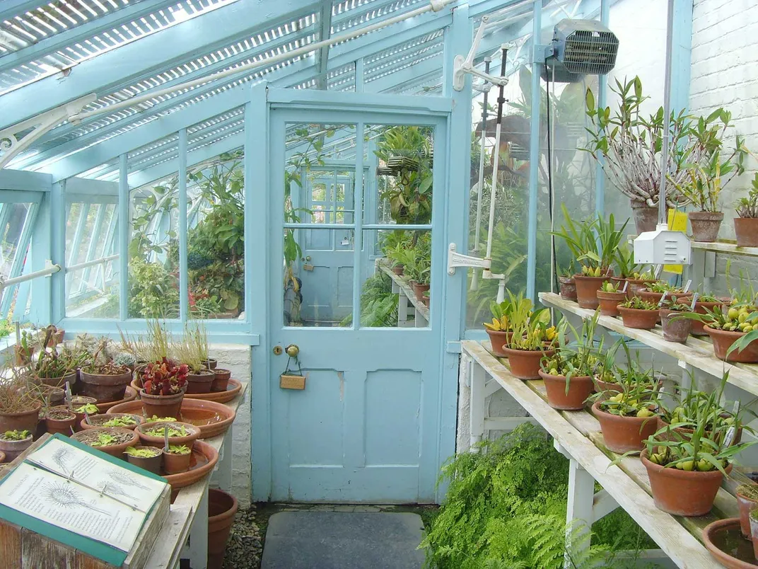 Charles Darwin's Greenhouse