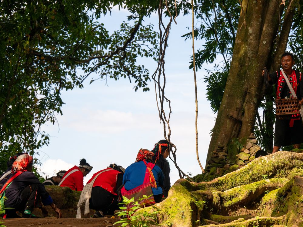 Worship the sacred tree | Smithsonian Photo Contest | Smithsonian Magazine