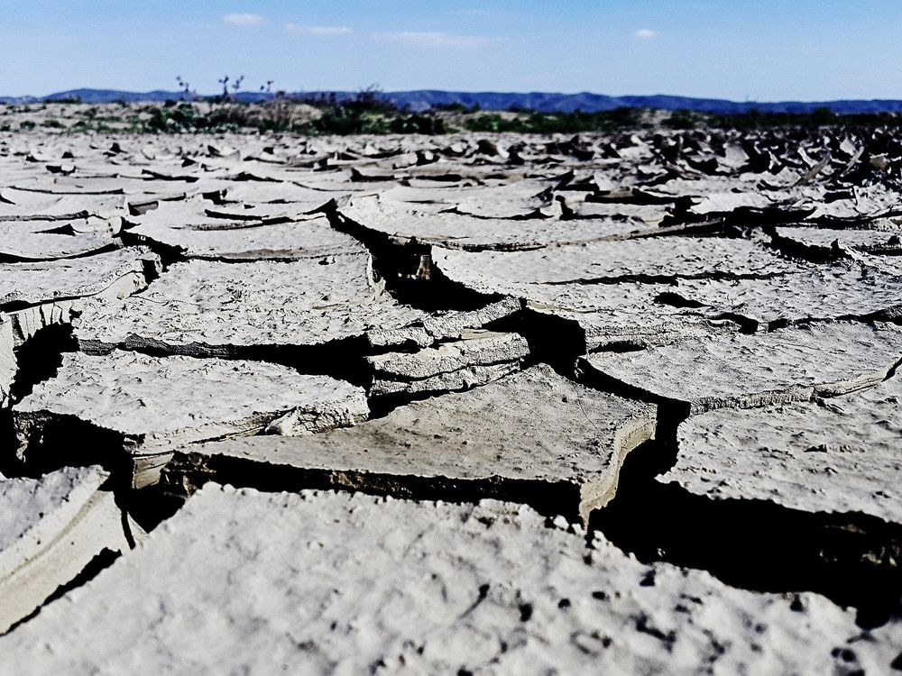 Dried Mud