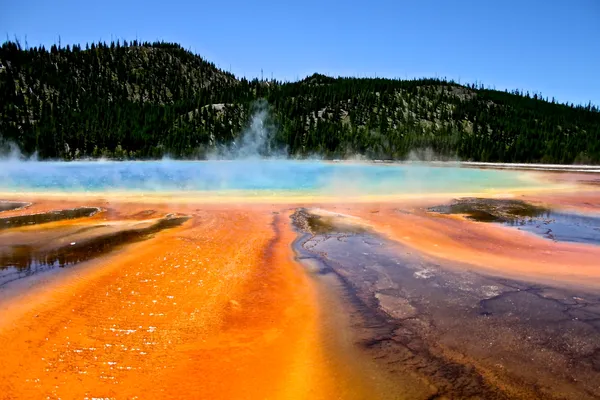 Grand Prismatic Spring in Yellowstone National Park thumbnail