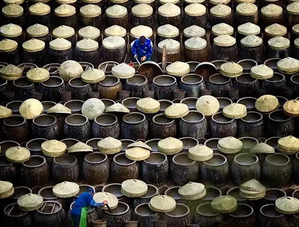 Traditional Brewing thumbnail