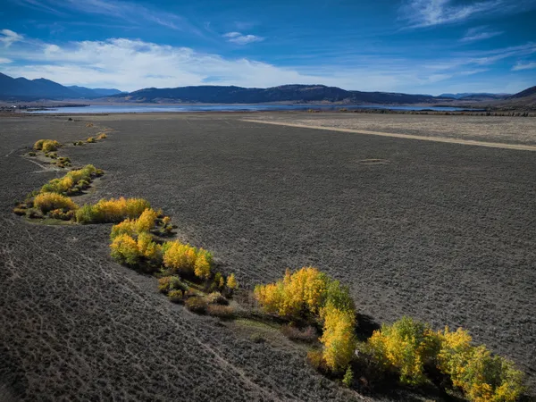 Fall Foliage on Parched Land thumbnail