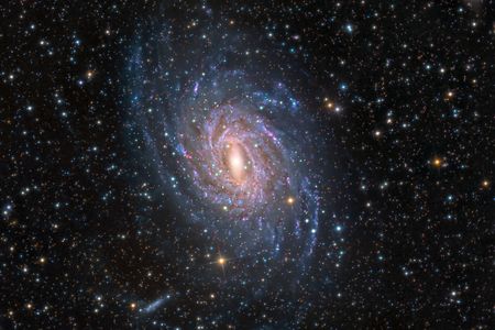 If we could see our own galaxy in its entirety, as we see NGC 6744, a twin galaxy 30 million light years away, measuring the Milky Way’s mass would be easy. But we see it from our place in one of its spiral arms and must invent new ways of calculating all the mass we cannot see.
