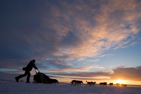 Robert Sorlie and his team during the 2005 Iditarod race