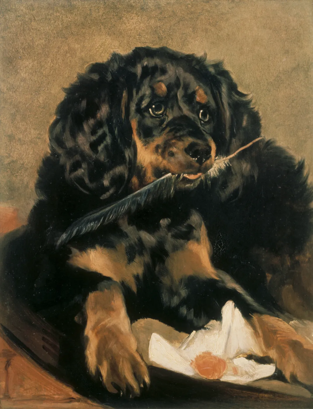 Edwin Landseer's Queen Victoria's Spaniel ‘Tilco’ ​​​​​​