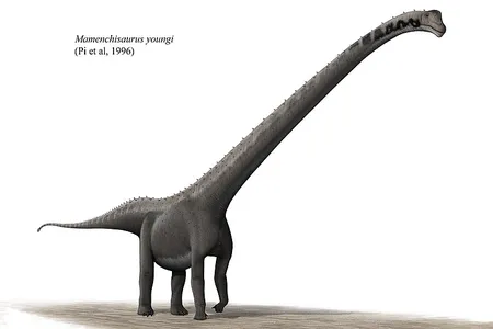 Mamenchisaurus, one of the longest-necked dinosaurs of all time, perfectly represents the bizarre nature of sauropods.