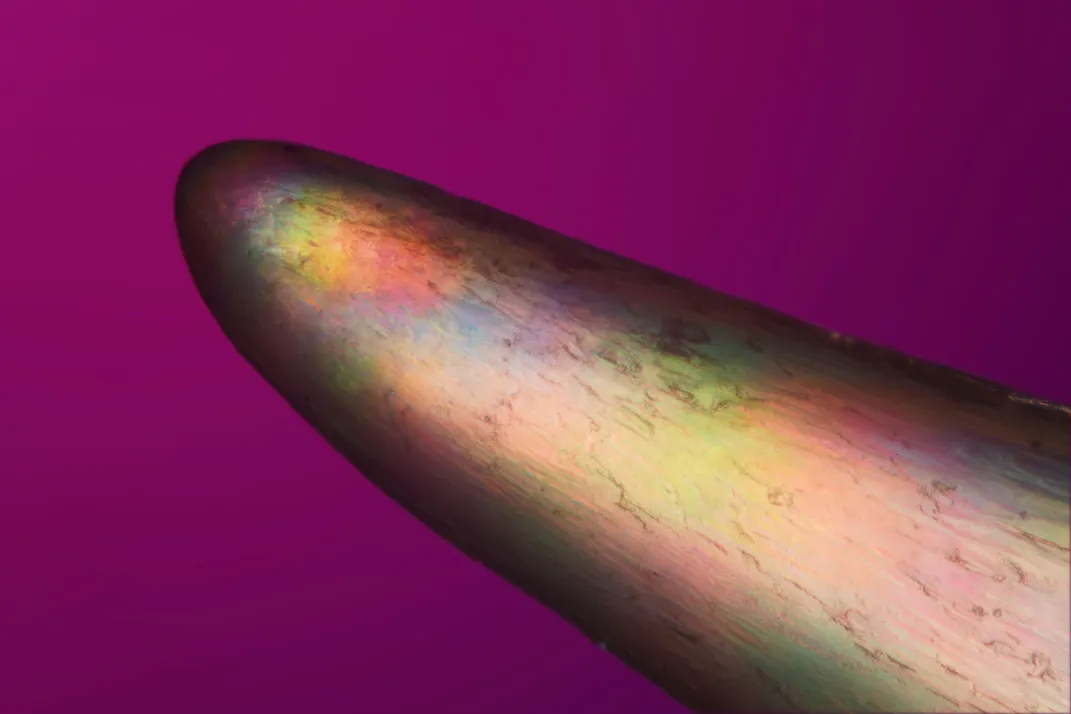 Sharp pointy object with iridescent colors on it