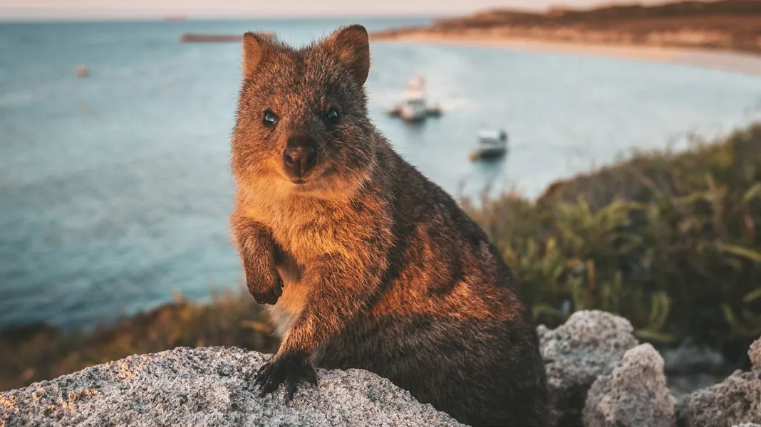 10 Otherworldly Adventures of a Lifetime in Western Australia