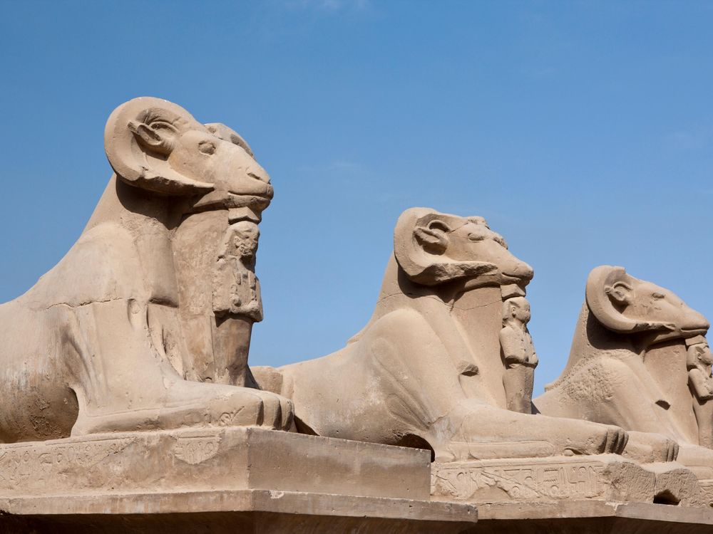 Ram sphinxes