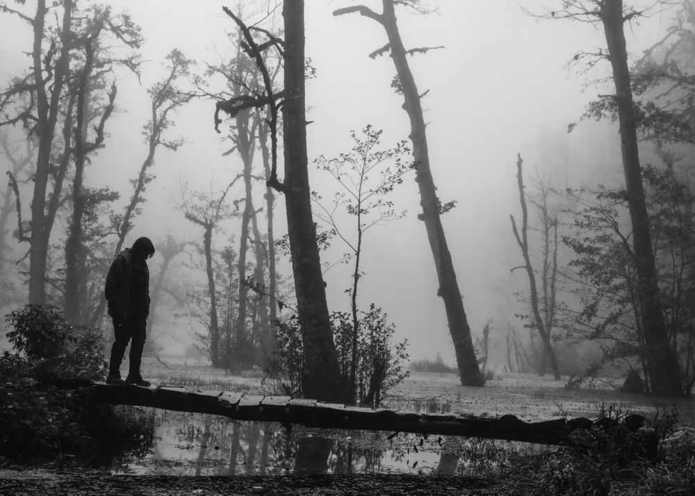 Alone in the misty swamp — it resembles the story of depressed souls. Even if a path lies before them, they have no motivation to break free, and their world is empty of hope and desire.